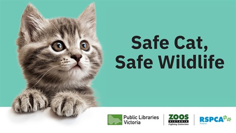 Safe Cats.jpg