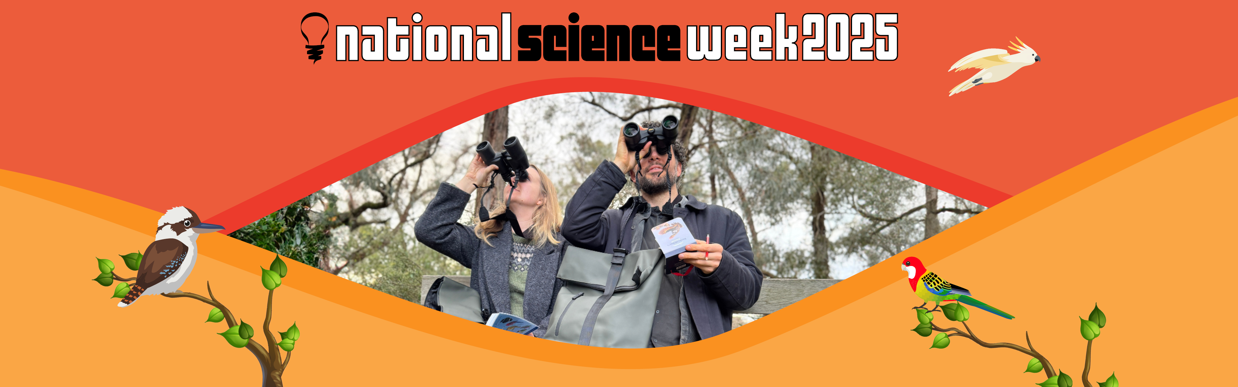 Science Week 2025- Birdwatching- Full width banner1141.png